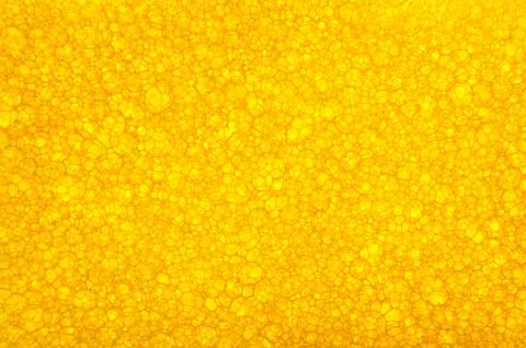 Porous polyurethane sponge texture for background Stock Photos