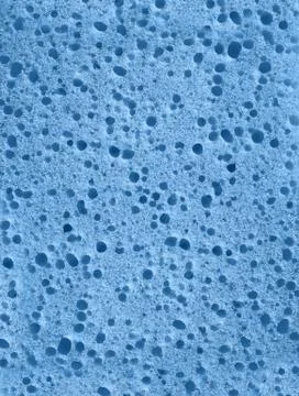 Porous sponge texture for background Stock Photos