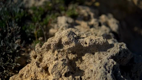 Porous stone close-up. The camera makes a slide Stock Footage 120256335