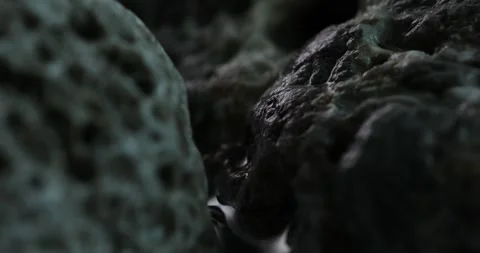 Porous Stone Texture in Subdued Lighting. Stock Footage 271322492