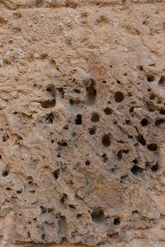Porous weathered sandstone surface creating a rough rock texture Stock Photos