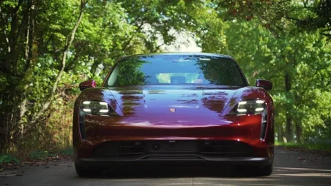Porsche Taycan 4S drives towards camera on a paved forest road and stops Stock Footage 203906653