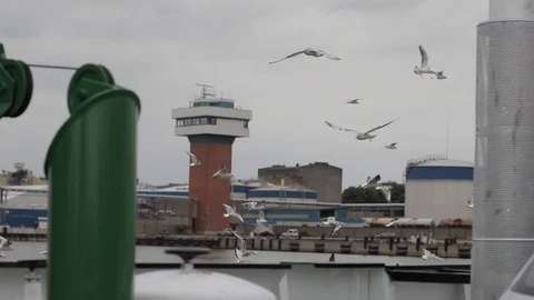 Port arrival view from the deck of a ship seagulls flying welcoming the vessel Video stock 98492946