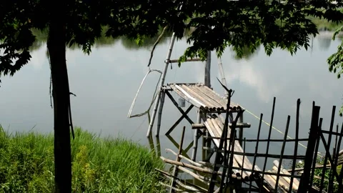 Port of bamboo Video stock 230212026