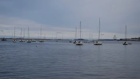 Port of Boston Stock Footage 100752616