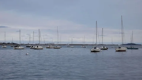 Port of Boston Stock Footage 100752892