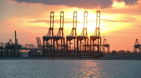 Port cargo crane and container in sunset Stock Footage 66746414
