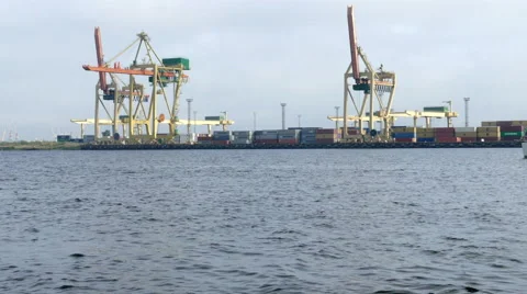 Port cargo cranes of container harbor 動画素材 57105091