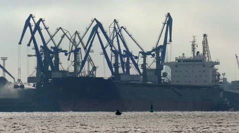 Port cargo cranes working in coal harbor Vídeo Stock 57104956