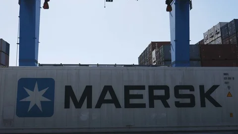 Port cran loading 40 feet reefer container  4k Stock Footage 88950511