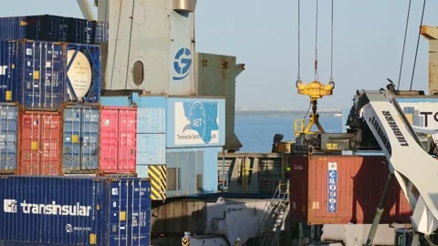 Port crane handle loading cargo containers at a shipping terminal Stock Footage 301308540