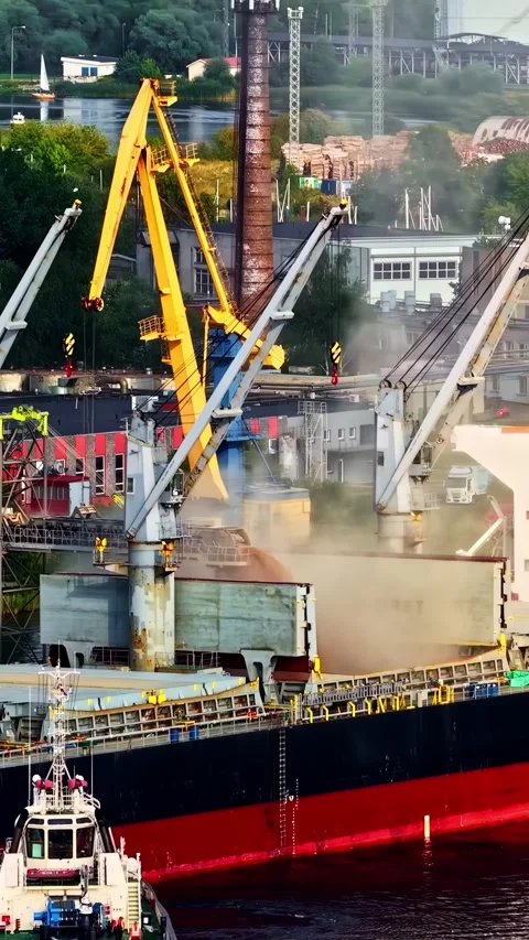 Port crane loading grain onto bulk carrier ship Stock Footage 336297135