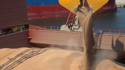 Port crane with scoop loading ship with wheat. Commerce, nautical. Close up Vidéo 113289820