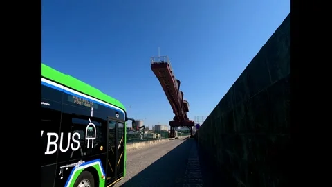 Port Crane Unloading Cargo on a Busy Day Stock Footage 288226141