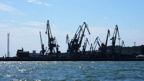 Port cranes on the coast Stock Footage 82995817