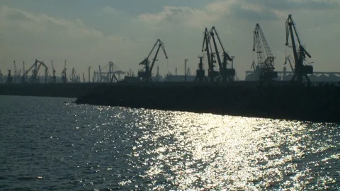 Port cranes Stock Footage 95103639