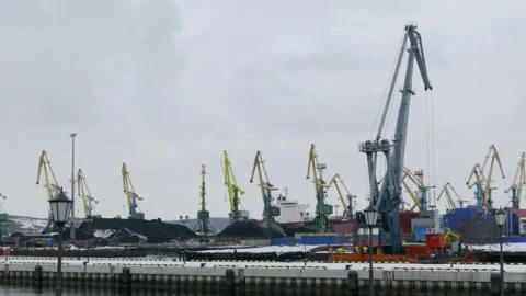 Port cranes load coal. Stock Footage 322059286