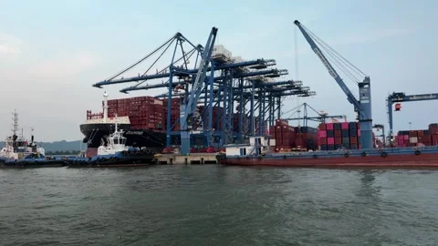 Port cranes loading cargo ship at Lach Huyen Port, VietNam. Stock-Footage 342579922