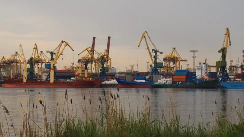 Port cranes move cargo Stock Footage 91922060