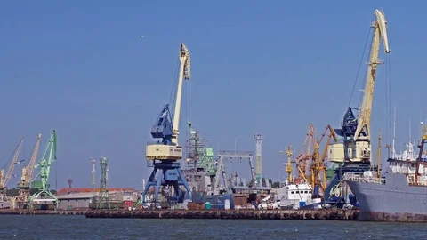 Port cranes unloading ships and seagulls in Klaipeda, Lithuania, timelapse Stock Footage