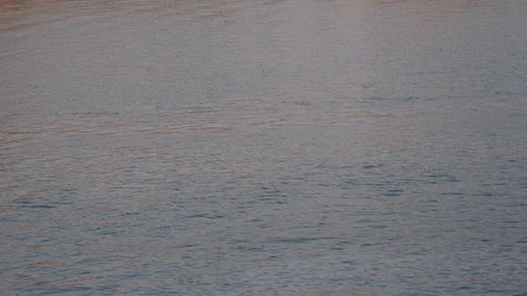 Port of Denia Vidéo 106308272