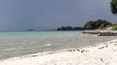 Port Dickson beach and ocean Stock Footage 340993522