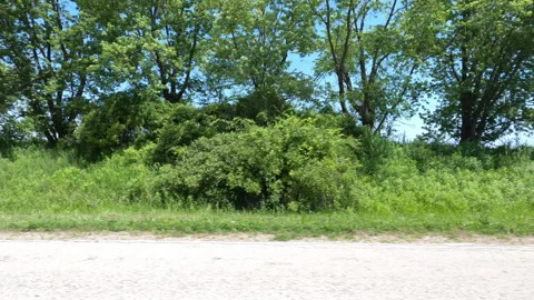 Port Dover, Can May 23 2026 POV side view driving plate farms and trees country Stock Footage 338297969