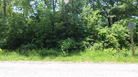 Port Dover, Can May 23 2026 POV side view driving plate farms and trees country Stock Footage 338298503