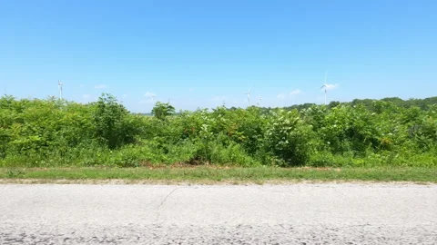 Port Dover, Can May 23 2026 POV side view driving plate farms and trees country Stock Footage 338298786