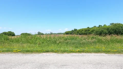 Port Dover, Can May 23 2026 POV side view driving plate farms and trees country Stock Footage 338299352