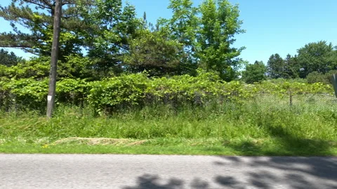 Port Dover, Can May 23 2026 POV side view driving plate farms and trees country Stock Footage 338299656