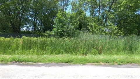 Port Dover, Can May 23 2026 POV side view driving plate farms and trees country Stock Footage 338299918