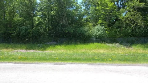 Port Dover, Can May 23 2026 POV side view driving plate farms and trees country Stock Footage 338300383