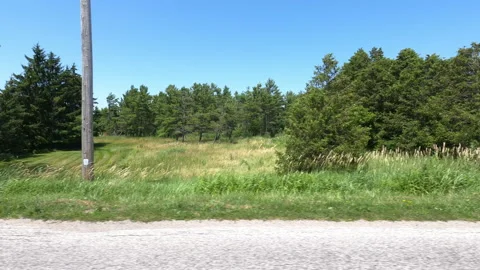 Port Dover, Can May 23 2026 POV side view driving plate farms and trees country Stock Footage 338301489