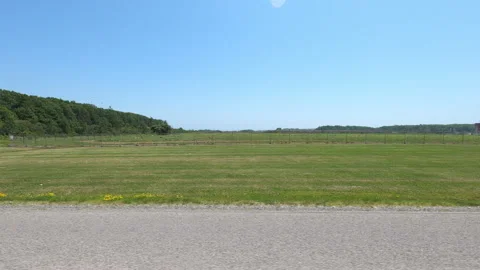 Port Dover, Can May 23 2026 POV side view driving plate farms and trees country Stock Footage 338302026