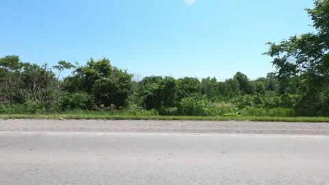 Port Dover, Can May 23 2026 POV side view driving plate farms and trees country Stock Footage 338302247