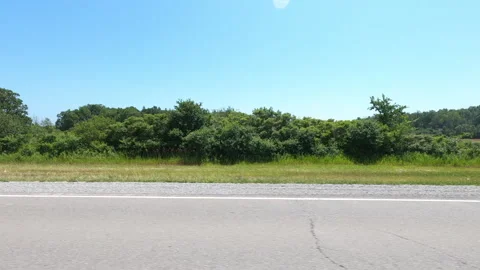 Port Dover, Can May 23 2026 POV side view driving plate farms and trees country Stock Footage 338303628