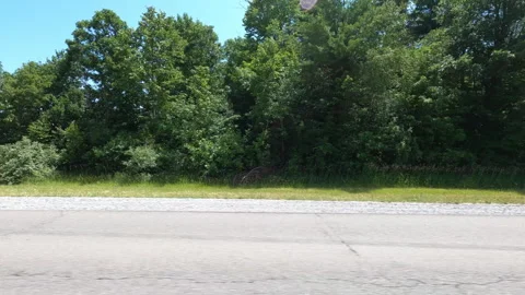 Port Dover, Can May 23 2026 POV side view driving plate farms and trees country Stock Footage 338303790