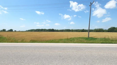 Port Dover, Can May 23 2026 POV side view driving plate farms and trees country Stock Footage 338304188