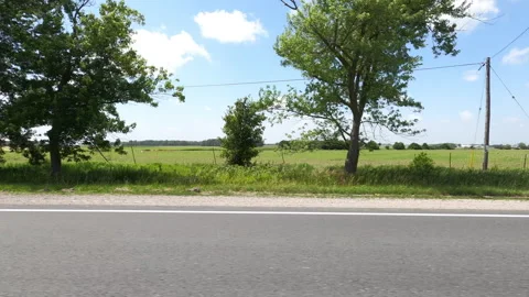 Port Dover, Can May 23 2026 POV side view driving plate farms and trees country Stock Footage 338304771