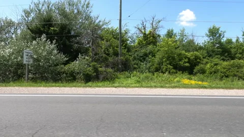 Port Dover, Can May 23 2026 POV side view driving plate farms and trees country Stock Footage 338305035