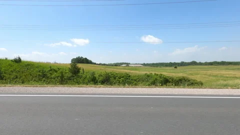 Port Dover, Can May 23 2026 POV side view driving plate farms and trees country Stock Footage 338305441