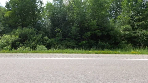 Port Dover, Can May 23 2026 POV side view driving plate farms and trees country Stock Footage 338306088