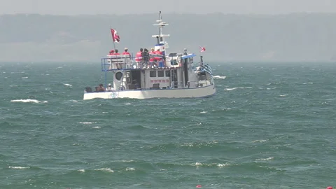 Port Dover, Canada July 1 2026 Canada day celebration with flag covered boats Stock Footage 338120820