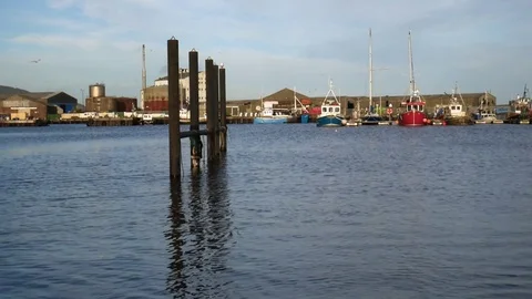 By the port Stock Footage 85012409
