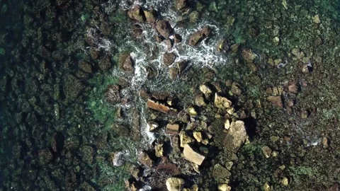 Port Vidéo 255161090