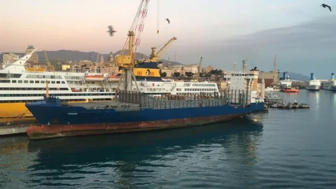 Port of Genoa Stock Footage 86480134