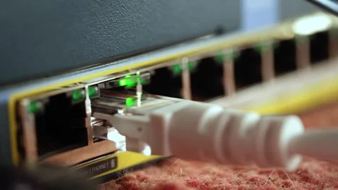 Port light on Ethernet network switch port Stock Footage 286240109