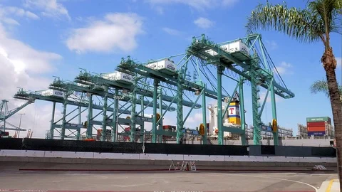 Port Of Los Angeles Gantry Cranes Timelapse 4K Stock Footage
