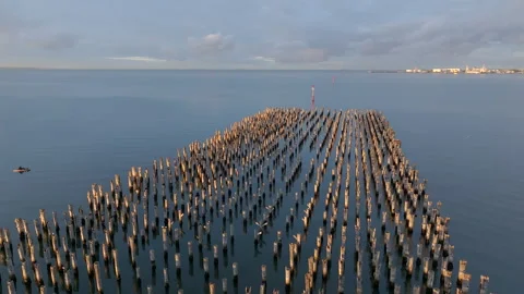 Port Melbourne Stock Footage 245247810